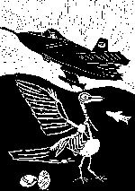 Taubenskelett und Bombenflugzeug